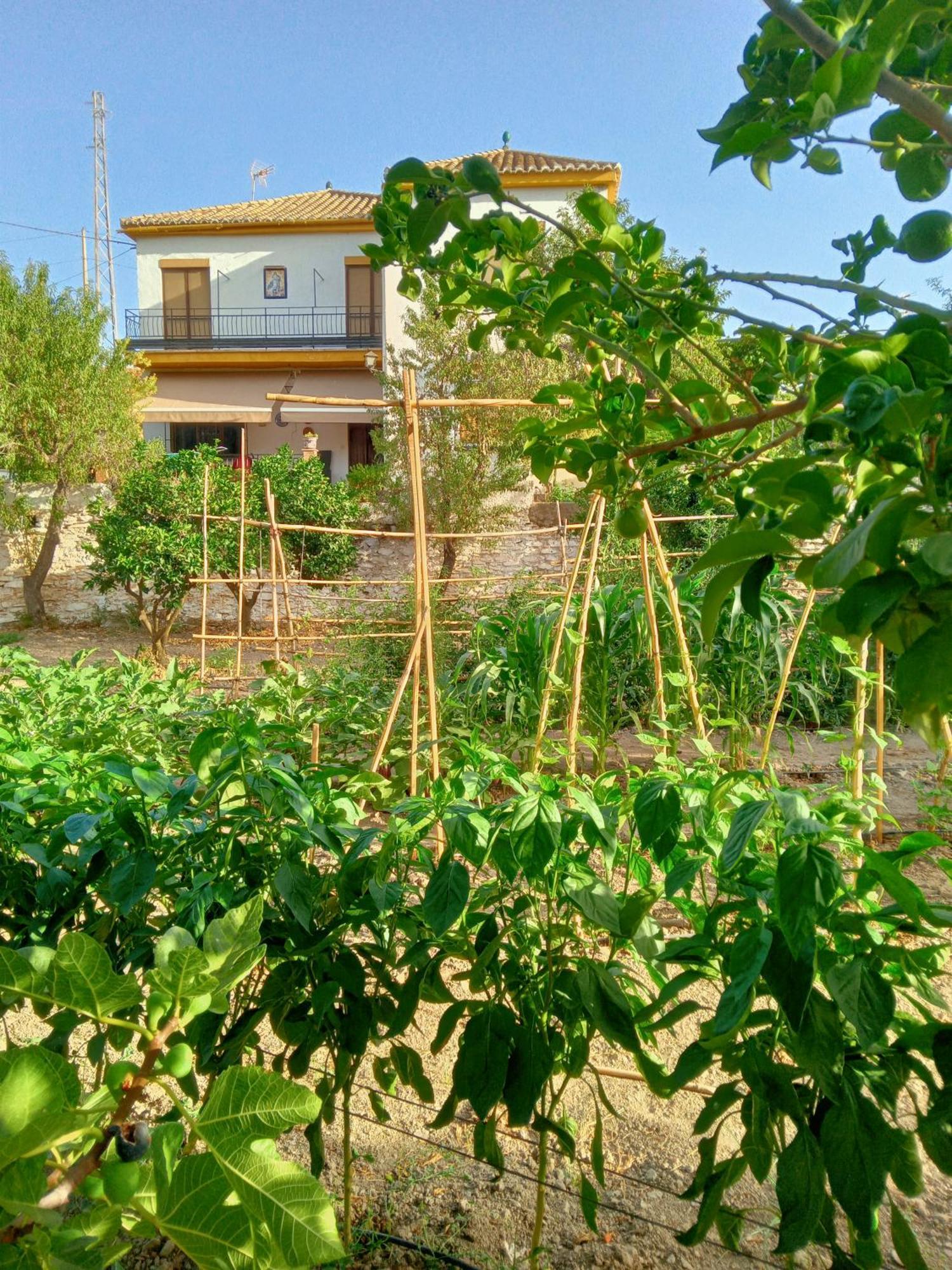 Villa Tuguest Hortichuela House Ugijar Exterior foto