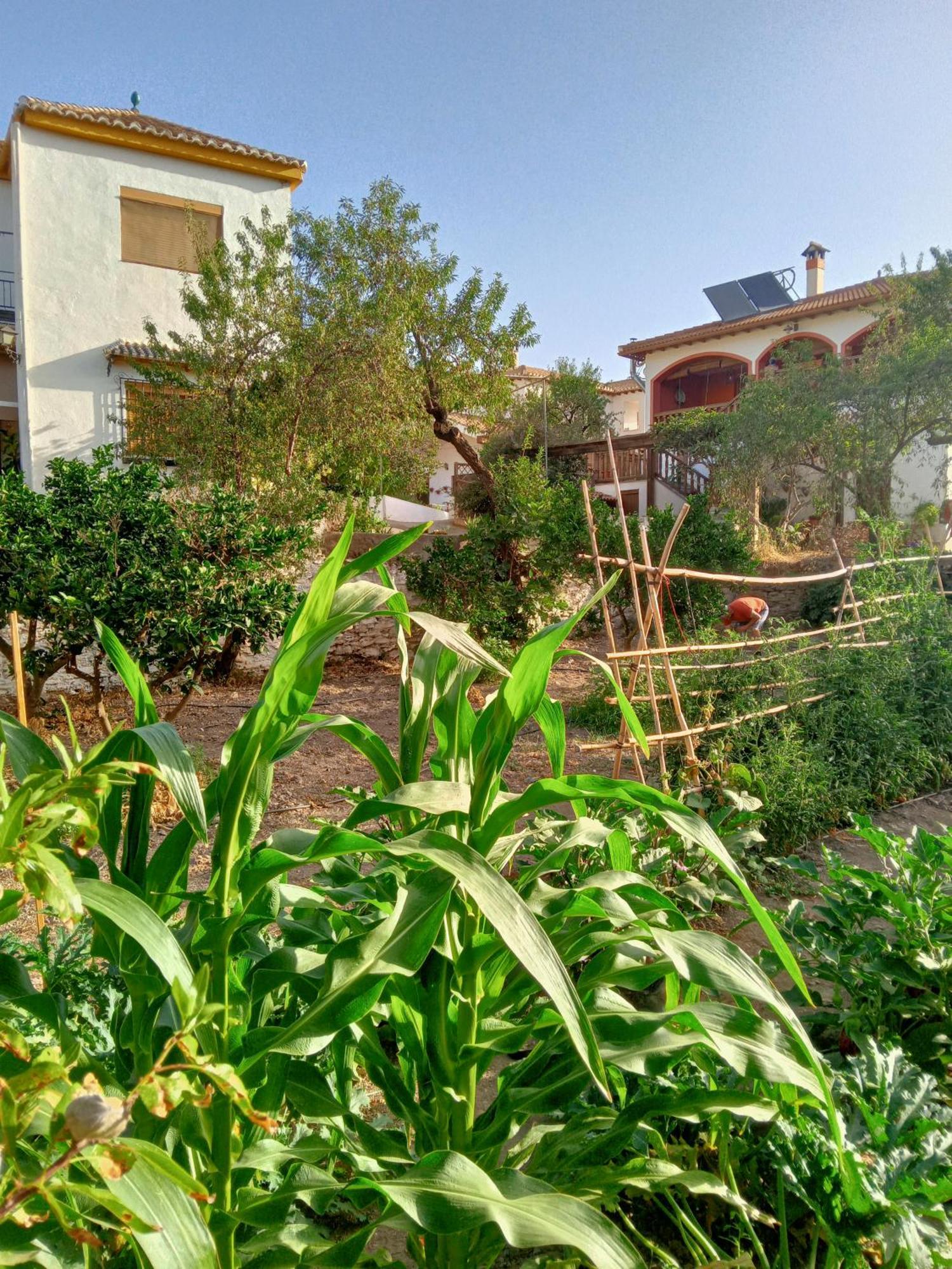 Villa Tuguest Hortichuela House Ugijar Exterior foto